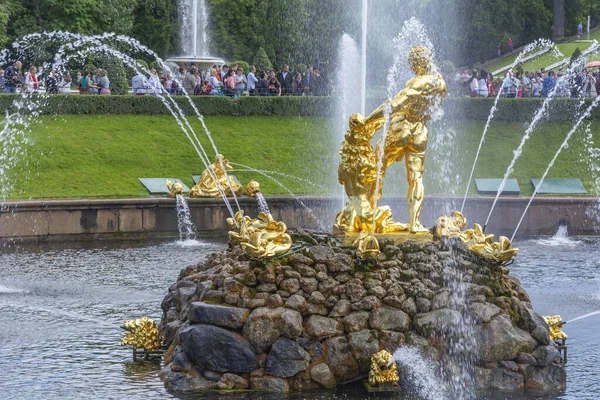 2019年8月15日 俄罗斯彼得霍夫 位于俄罗斯圣彼得堡彼得霍夫下公园的喷泉 萨姆森撕裂狮子嘴 — 图库照片
