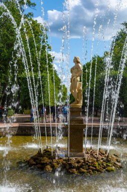 Peterhof, Rusya-15 Ağustos 2019: Adam Fıskiyesi Aşağı Park 'ta, ünlü bir park topluluğu, Peterhof, Saint Petersburg, Russi