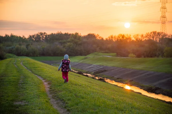 Little girl in field Stock Photo