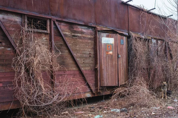 Veduta Una Stazione Ferroviaria Abbandonata Una Ferrovia Disuso Kiev Ucraina — Foto Stock