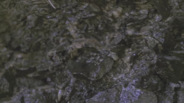冷たい岩の上の岩から水が滴り落ちる スローモーション — ストック動画