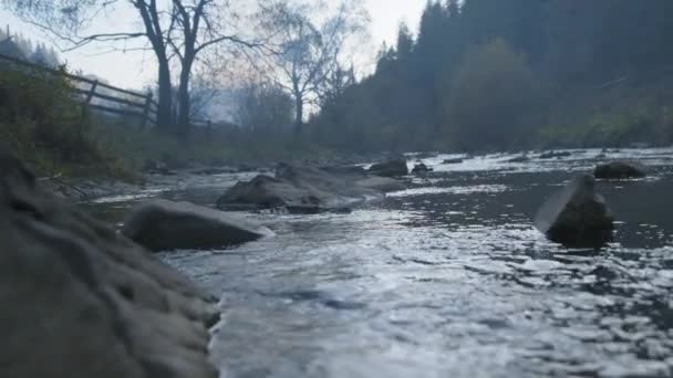 Eau Tranquille Dans Rivière Lever Soleil Matin Montagne Ukraine Carpates — Video