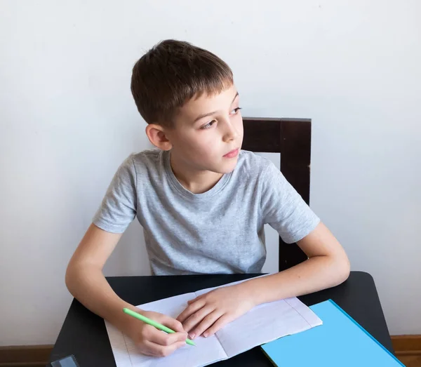 Un écolier étudie à la maison et fait ses devoirs à l'école. Un enseignement à distance à domicile . Images De Stock Libres De Droits