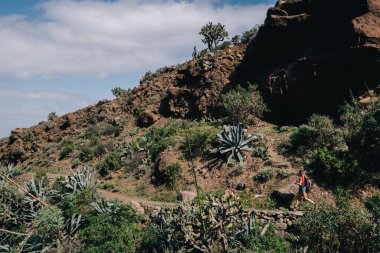 Dağ yolunda koşan kadın izleri. Koşucu güzel bir doğayla çalışıyor..
