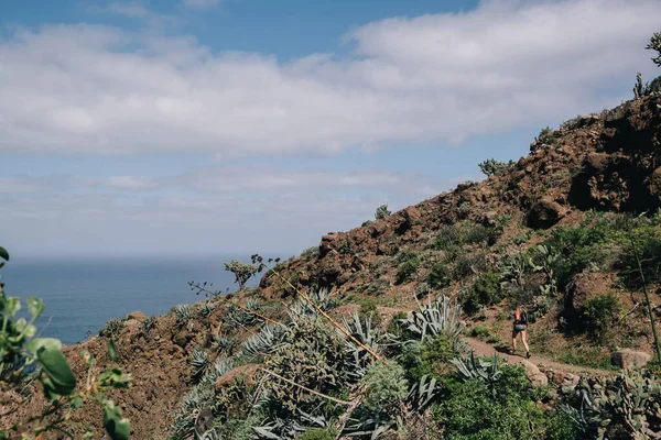 Eine Frau Läuft Auf Einem Bergweg Läufer Trainieren Schöner Natur — Stockfoto