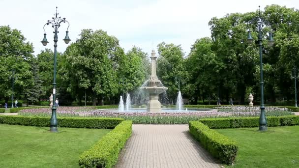 ハンガリー エゲルの噴水のある公園 — ストック動画