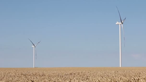 Ветряные турбины на пшеничном поле — стоковое видео
