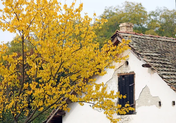 Autumn tree and old house — ストック写真