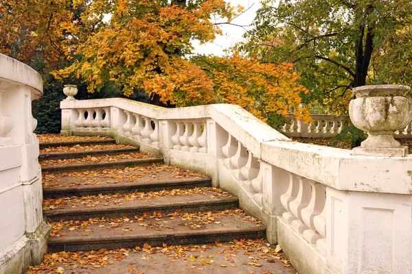 Parc avec escalier blanc et feuilles tombées saison d'automne — Photo