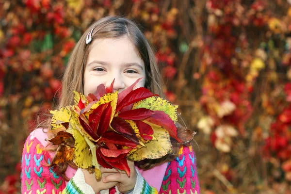 Little girl holding colorful autumn leaves — Stock Photo, Image