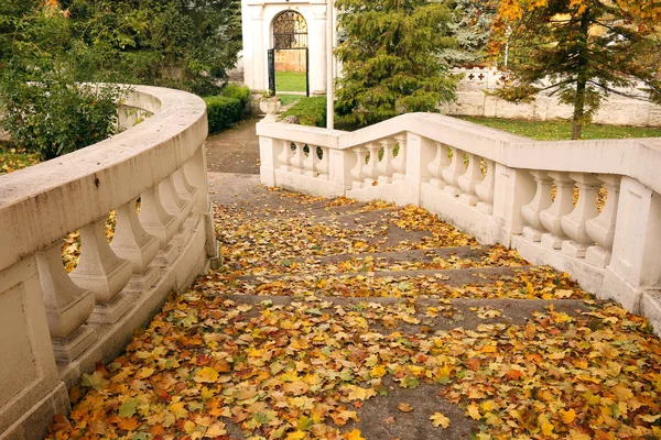 楼梯上的落叶秋天 — 图库照片