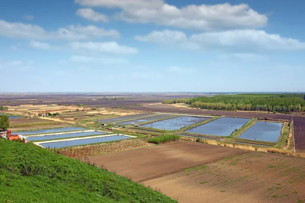 Pesce stagno vista aerea agricoltura — Foto Stock