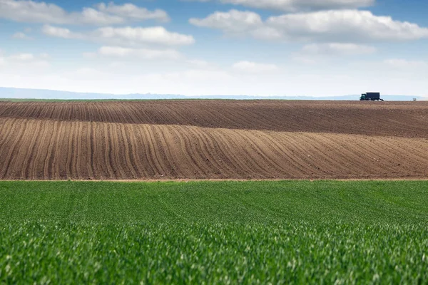 Yeşil Buğday Sürülmüş Tarla Manzarası — Stok fotoğraf