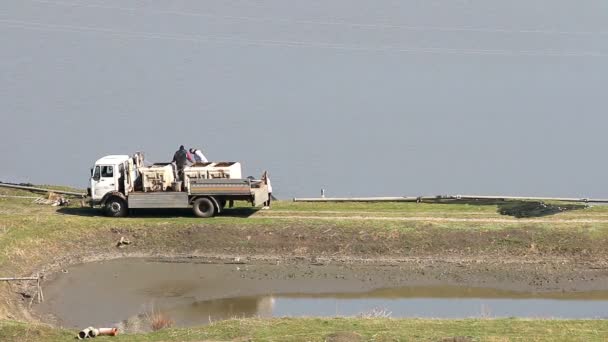 Workers work on the fishpond — Stock Video