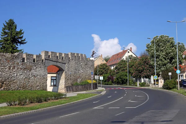 요새 벽 근육 거리 헝가리 — 스톡 사진