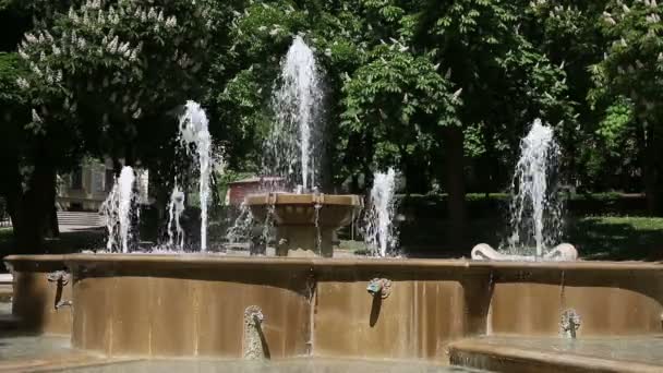 Fontein in park Pecs, Hongarije — Stockvideo