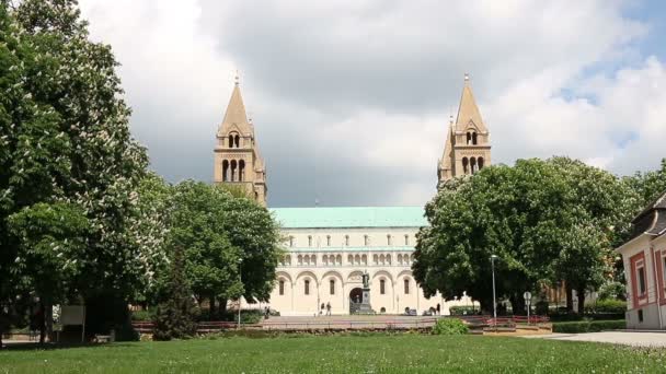 Pecs Macaristan Katedrali — Stok video