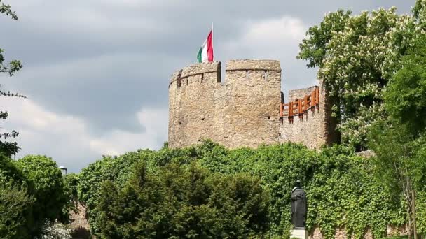 Torre del forte con bandiera ungherese Pecs — Video Stock