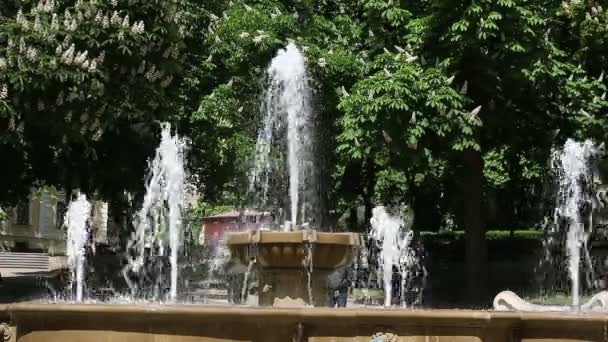 Fountain in park Pecs Hungary spring season — Stock Video