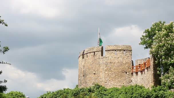 Turm mit ungarischer Flagge — Stockvideo