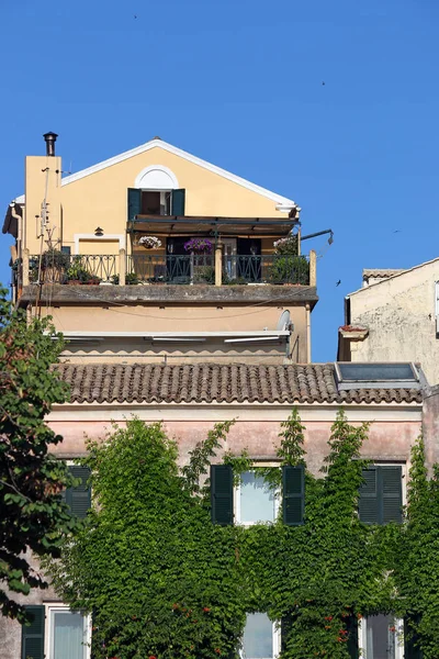 Parede de uma casa velha coberta com folhagem de liana Corfu cidade Gr — Fotografia de Stock