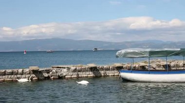 Kuğular Ohri Gölü Makedonya üzerinde