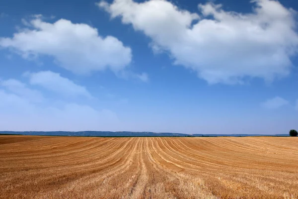 Campo dopo la falciatura paesaggio grano stagione estiva — Foto Stock