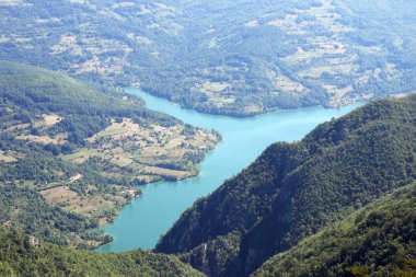 Biljeska stena bakış açısı Tara dağ Sırbistan