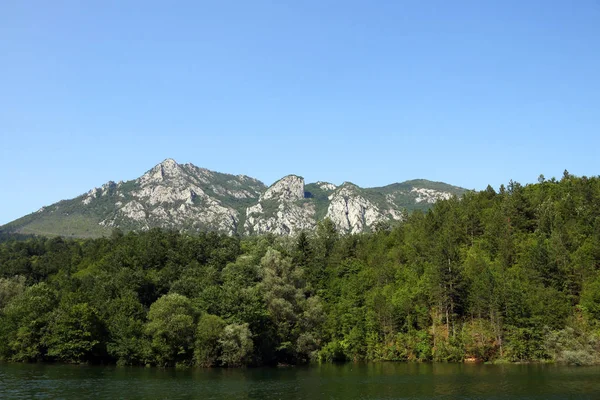 Bergwald und Flusslandschaft — Stockfoto