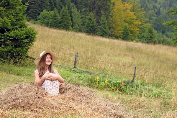 美しいフィールドで座っている女の子 — ストック写真