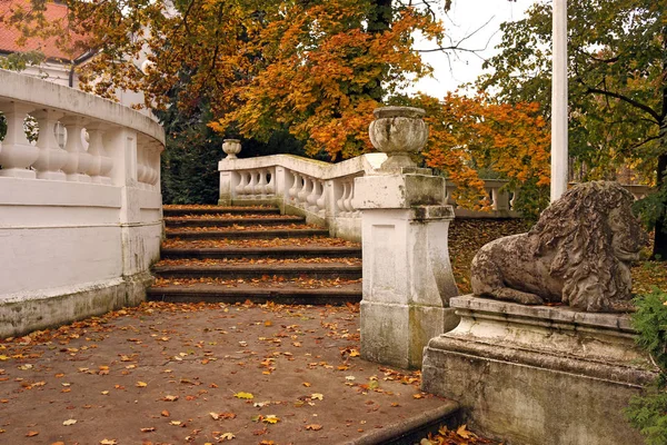 Escalera de piedra con hojas caídas en el parque temporada de otoño —  Fotos de Stock