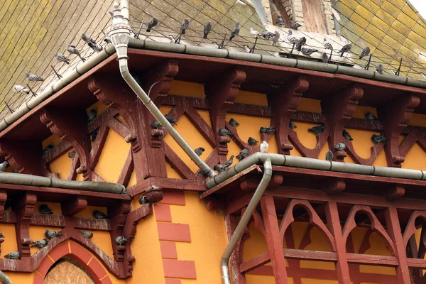 Las palomas descansan en el tejado de un antiguo edificio —  Fotos de Stock