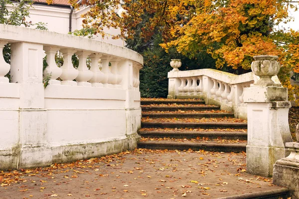 Treppenhaus mit fallendem Laub Herbstsaison — Stockfoto
