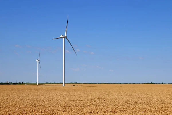 Turbinas eólicas no campo de trigo energia verde — Fotografia de Stock