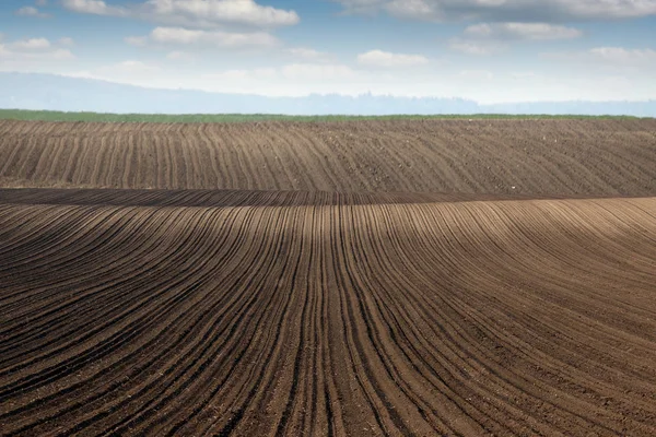 Campo arato panonia paesaggio — Foto Stock