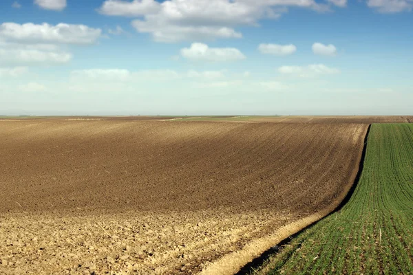 Upplöjd fältet jordbruk vårsäsongen — Stockfoto