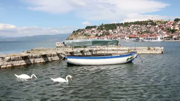Ohri Gölü Makedonya Yaz Sezonu — Stok video