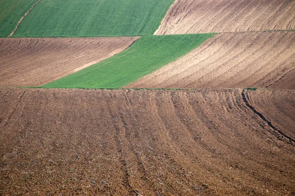 Orat pole zemědělství přírodní pozadí — Stock fotografie