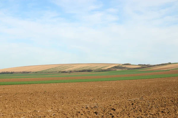 Campo de trigo arado y verde campo de cultivo paisaje agricultura —  Fotos de Stock