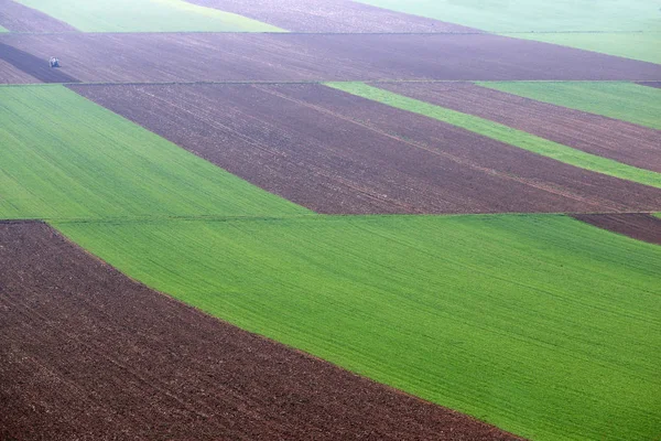 Arato e campi di grano verde sfondo naturale — Foto Stock