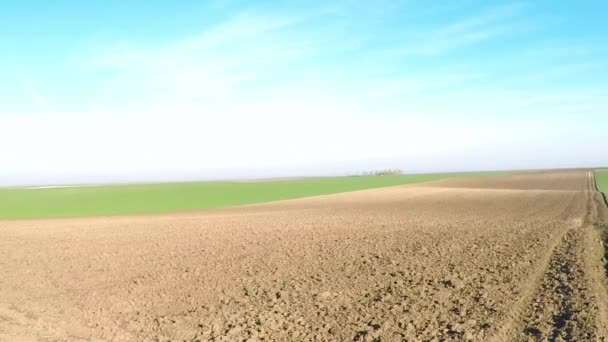 Junge Grüne Weizen Und Gepflügte Felder Landschaft — Stockvideo