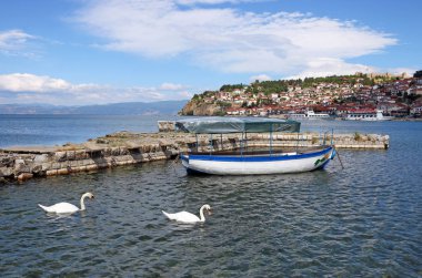Kuğu Gölü Makedonya üzerinde yaz sezonu yüzüyor