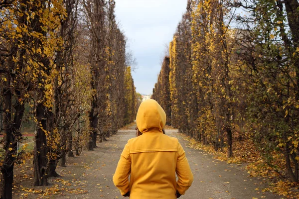 Menina em um casaco com capuz amarelo no parque Augarten Viena outono — Fotografia de Stock