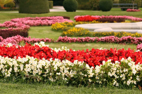 Mooie tuin met verschillende kleurrijke bloemen voorjaar seizoen — Stockfoto