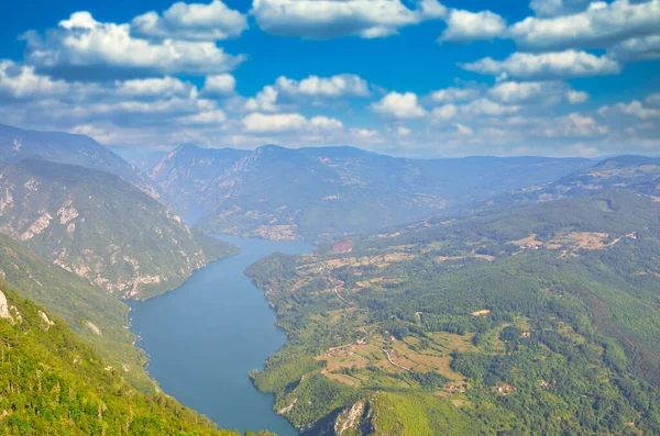 Tara Montanha Ponto Vista Famoso Banjska Stena Sérvia — Fotografia de Stock