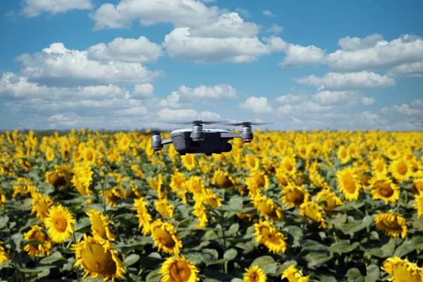 Dron Está Volando Sobre Campo Girasol Verano — Foto de Stock