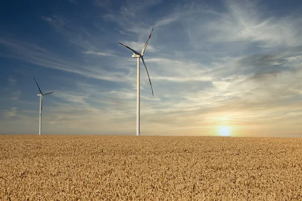 Wind Turbines Wheat Field Sunset Landscapes — Stock Photo, Image