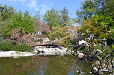 Viyana Avusturya Baharı Setagaya Parkı