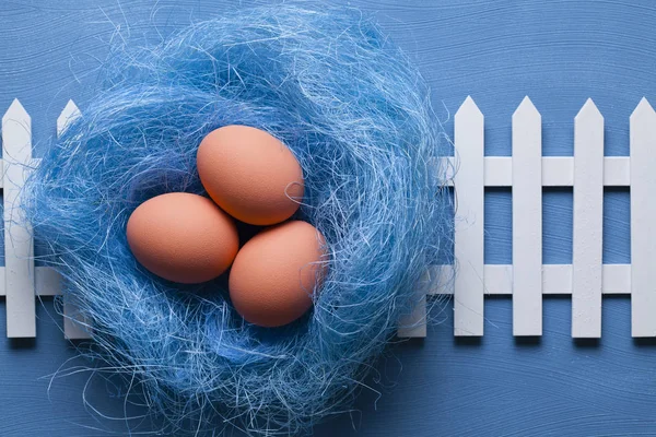 Tre uova di Pasqua nel nido e recinzione bianca su sfondo blu — Foto Stock