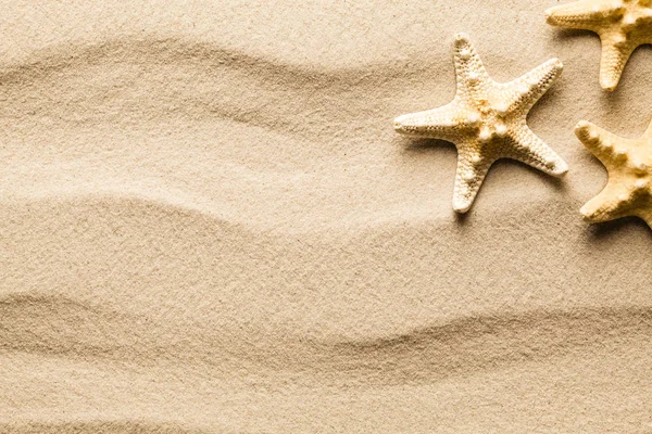 Zomer achtergrond - zeester op strand zand — Stockfoto